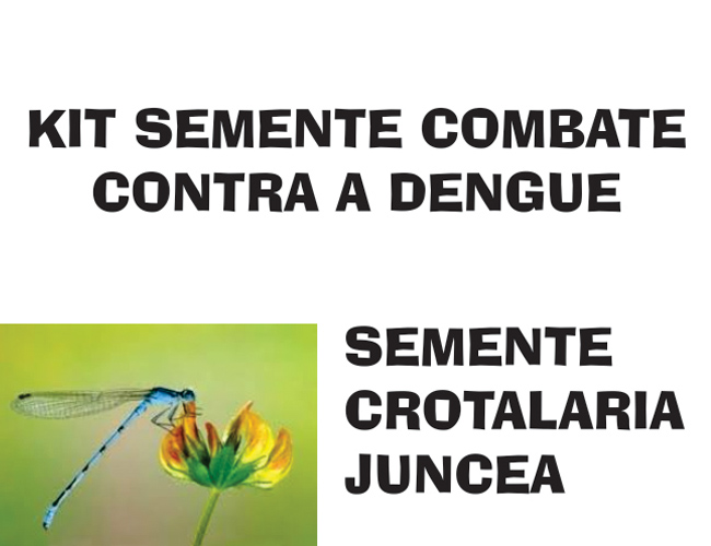   brindes com sementes de crotalaria.