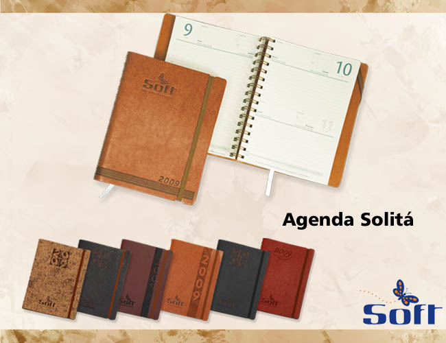 02 - AGENDA SOLIT