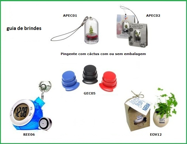   brindes ecolgicos  brindes reciclados  plantas